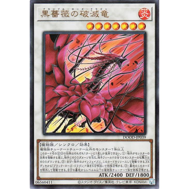 遊戯王オフィシャルカードゲーム デュエルモンスターズ 遊戯王カード