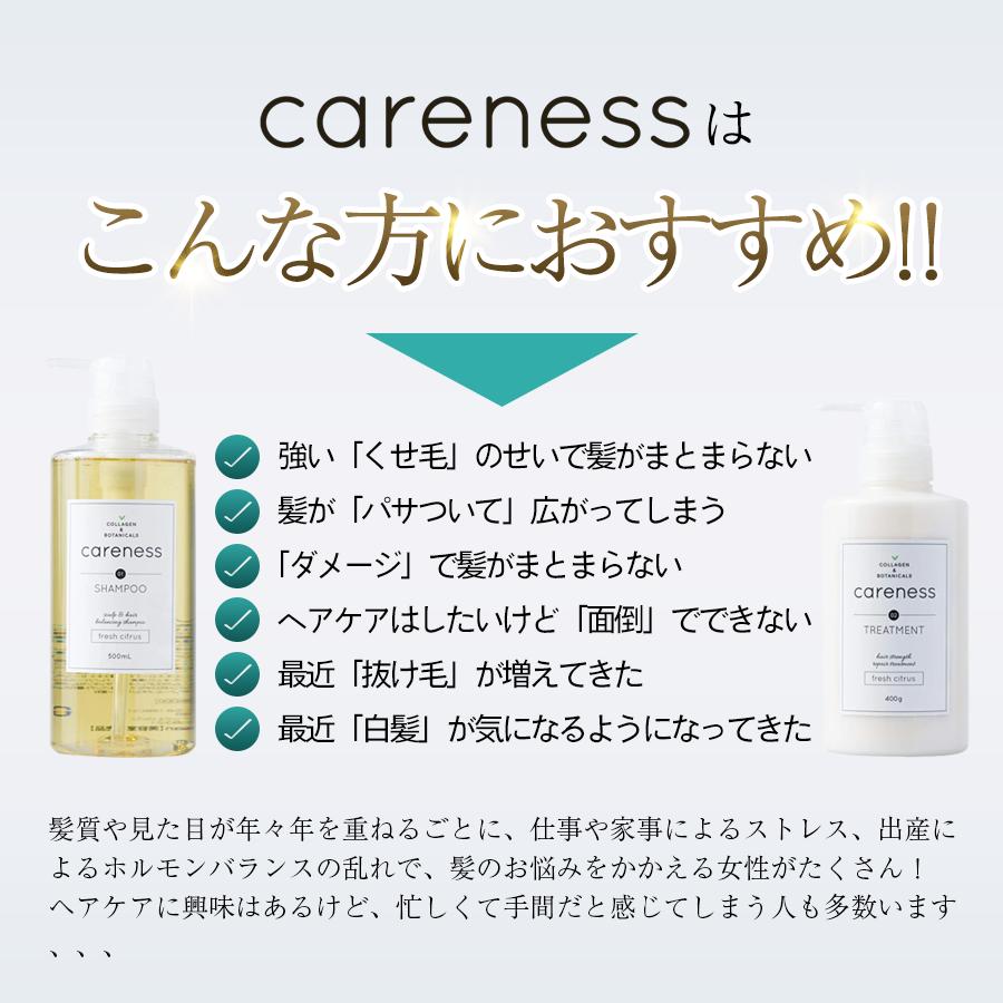 公式 ケアネス(careness) シャンプー トリートメント 大容量 業務用