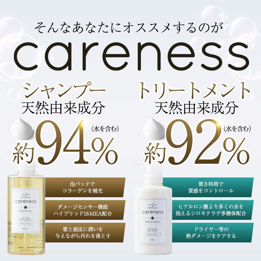 公式 ケアネス(careness) シャンプー トリートメント 大容量 業務用