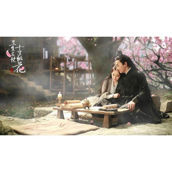 永遠の桃花〜三生三世〜DVD-BOX 1+2+3の全巻セット ＜シンプルBOX