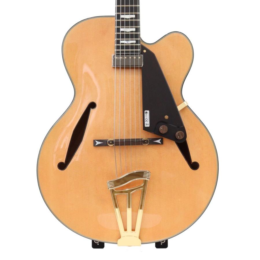 FUJIGEN（フジゲン） エレキギター フルアコ FUJIGEN MFA-FP JN