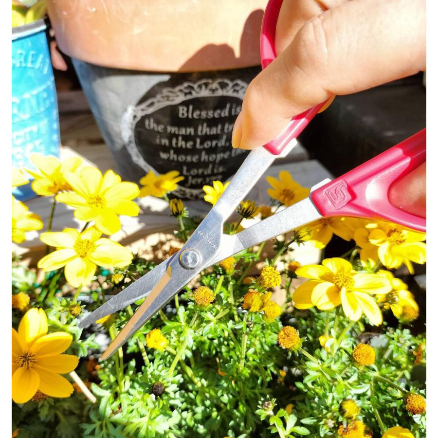 CHIKAMASA（近正） 【公式・送料無料】近正 チカマサ 虫とり