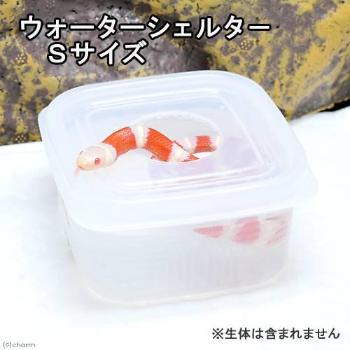 Leaf Corp ウォーターシェルター Sサイズ 爬虫類 ヘビ 蛇 水入れ