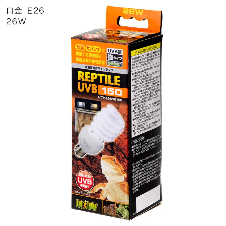 チャーム（charm） フトアゴヒゲトカゲ飼育セット （90cmケージ