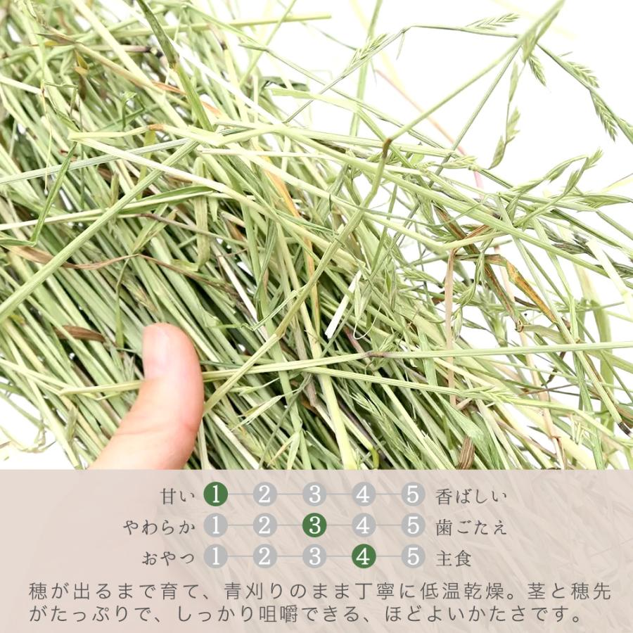 Leaf Corp 令和7年産 国産牧草 青刈りイタリアンライグラス 300g