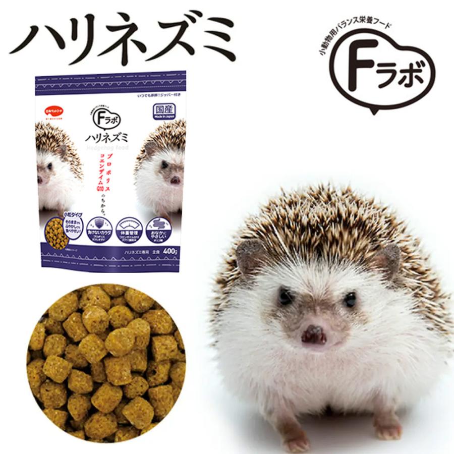 チャーム（charm） 初めてのハリネズミ飼育セット : チャーム charm