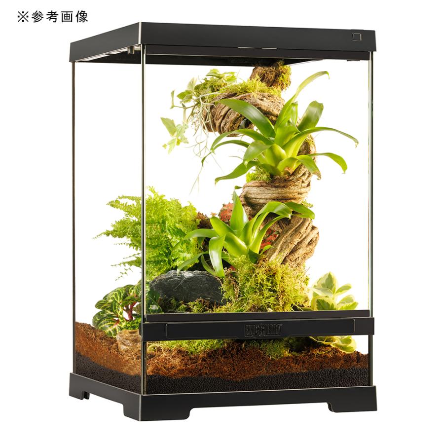 GEX EXOTERRA グラステラリウム3045 PT260 おまけ付き グラス