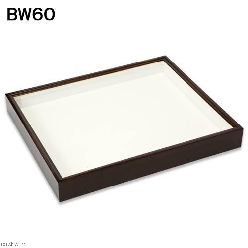 バードウィング製 ドイツ型標本箱 BW60（幅50．7×奥行き41