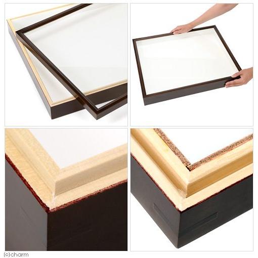 バードウィング製 ドイツ型標本箱 BW60（幅50．7×奥行き41