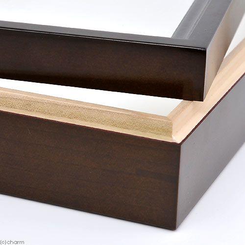 バードウィング製 ドイツ型標本箱 BW中型 （幅42．5×奥行32．5