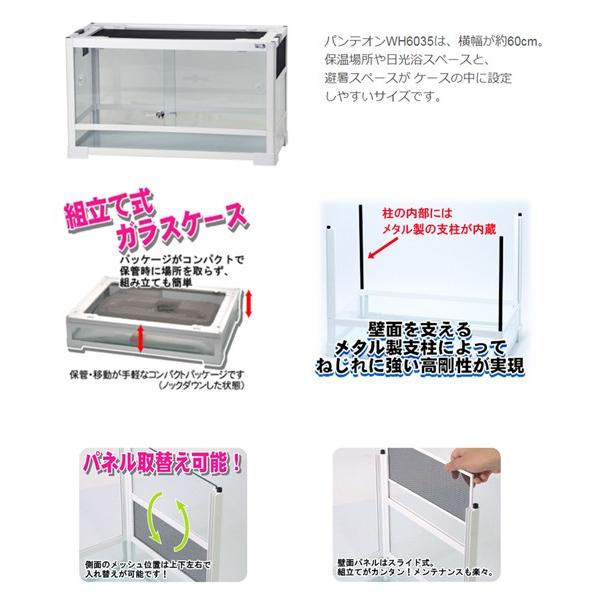 三晃商会 爬虫類ケージ パンテオン ホワイト WH6035（60．5