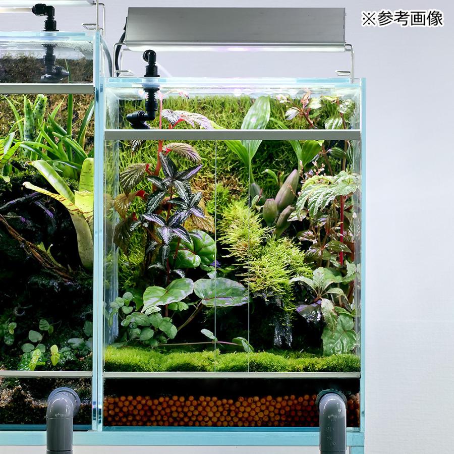 Leaf Corp ビバリウム用 植栽シート PLANTING SEAT