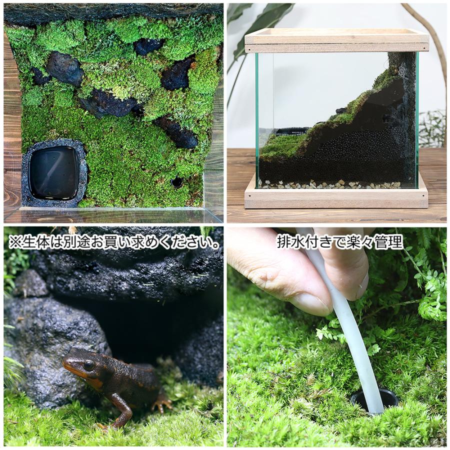 チャーム（charm） イモリウム 〜イモリの洞窟〜 レイアウトセット お