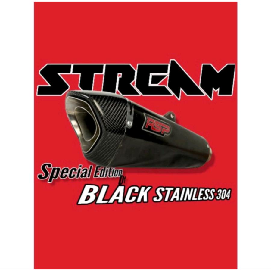 KAWASAKI ZX25R NINJA 軽量 フルシステム ステンレスマフラー フル