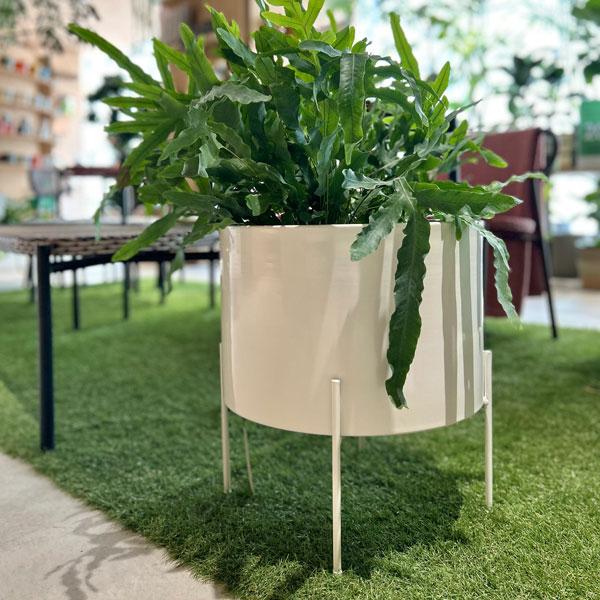 Hubsch(ヒュプシュ) エアリープランターラージ Φ42 ホワイト/ブラック