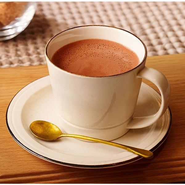 VAN HOUTEN（バンホーテン） リッチテイスト ココア 500g ( 調整