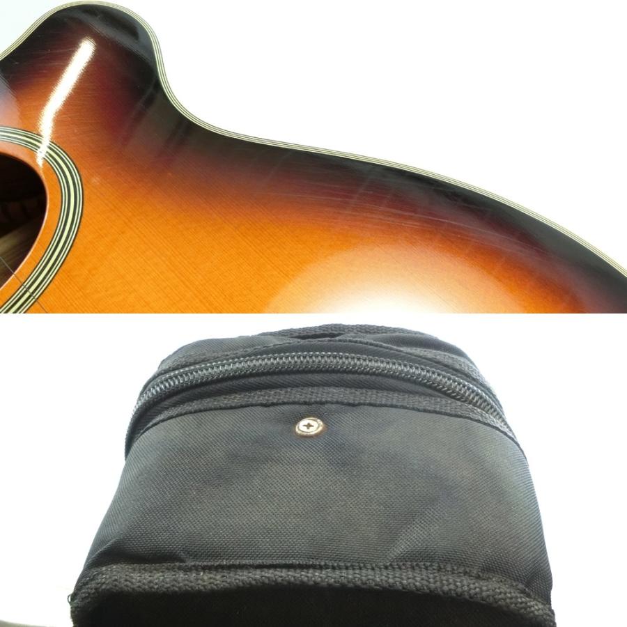 ARIA（アリア） エレアコ FET-500 EBS ギター サンバースト