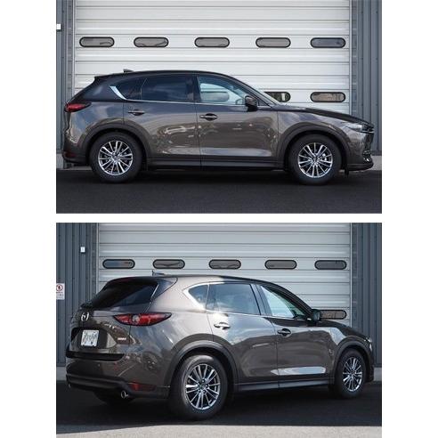 TEIN（テイン） FLEX Z VSMD2-C1AS3 減衰力16段階車高調整式ダンパー