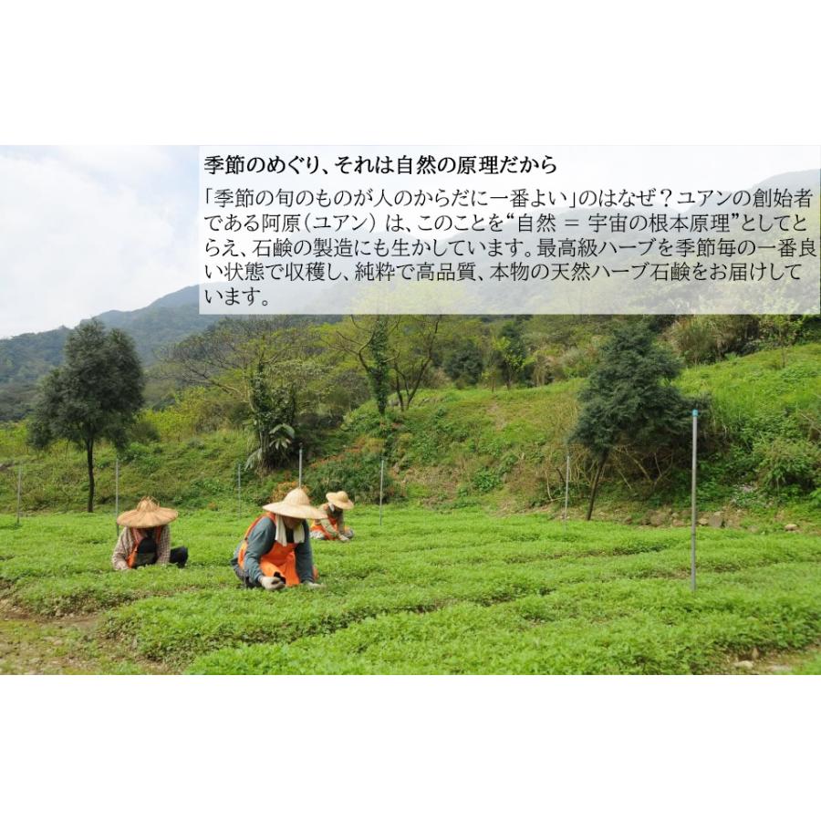 洗顔 お試し 阿原 YUAN 新 ユアン ソープ ミニサイズ 15g 石けん 3点