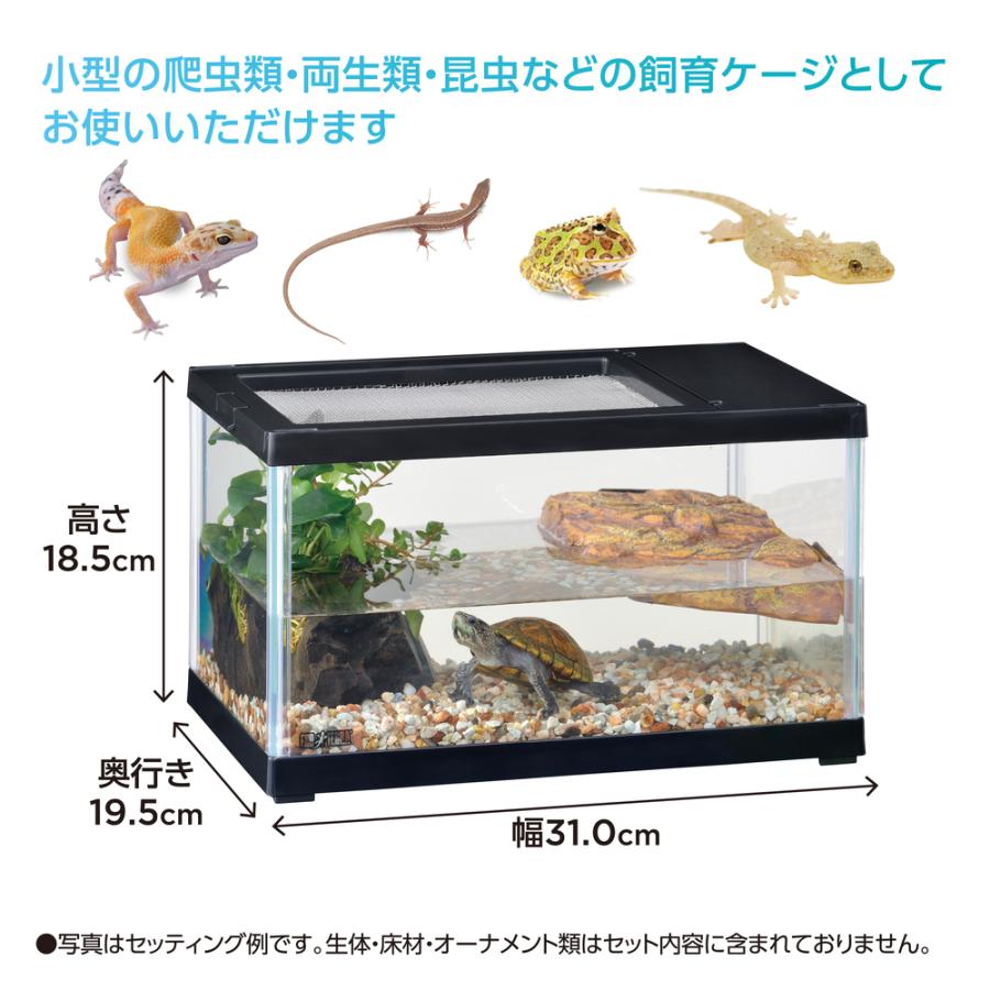 GEX レプテリア ツインビュー 300ブラック 縦置き・横置き可能な2WAY