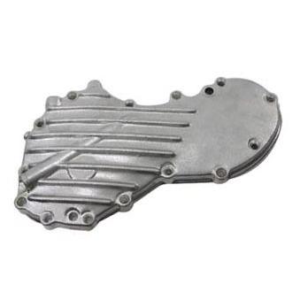 Harley Davidson（ハーレー・ダビッドソン） キャスト カムカバー