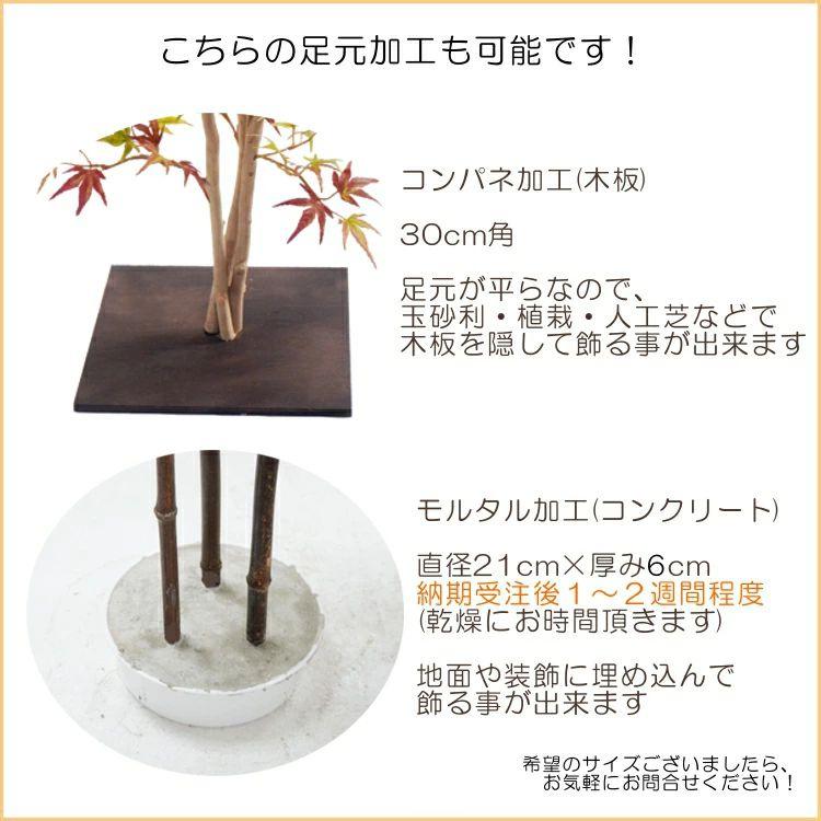 エバーフレッシュ 180cm (ネムノキ 造花 インテリア 人工 観葉植物