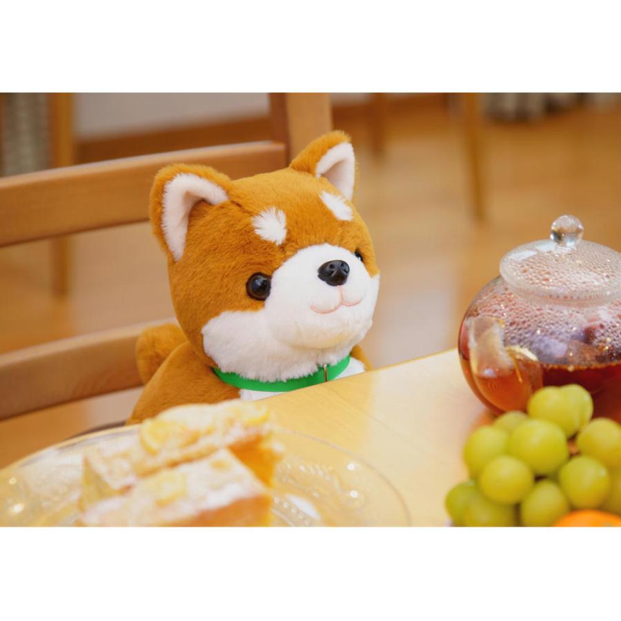 即納 しばいぬコウタ バンダナ付きセット 音声認識ぬいぐるみ