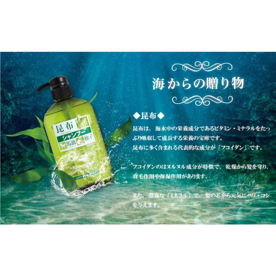 シャンプー トリートメント ボディソープ 昆布 馬油 ヘアケア ボディ