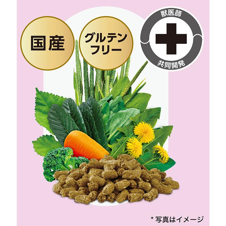 SELECTION PRO. イースター バニーセレクションプロ ユリナリーケア