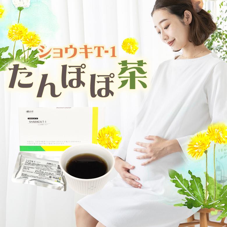たんぽぽ茶 ショウキT-1プラス お試し3袋 不妊 妊婦 お茶 赤ちゃん
