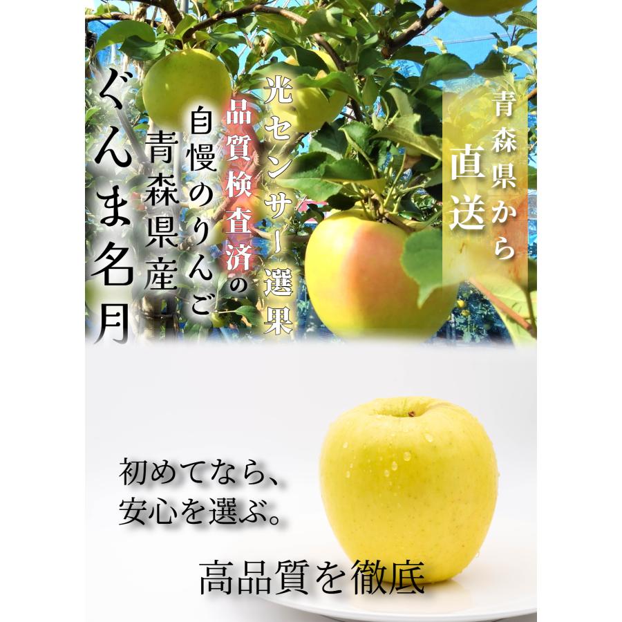 2026年10月予約 【光センサー選果保証】 高糖度 青森県産 りんご