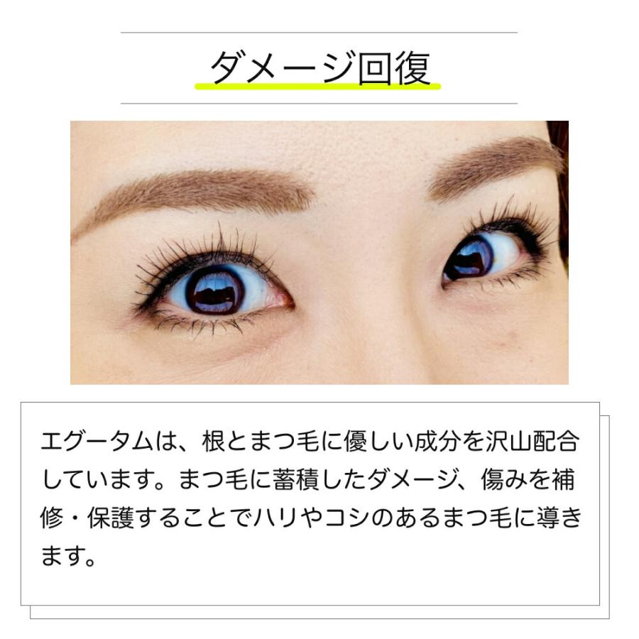 エグータム まつげ美容液 EGUTAM 2ml アルマダスタイル armada-style