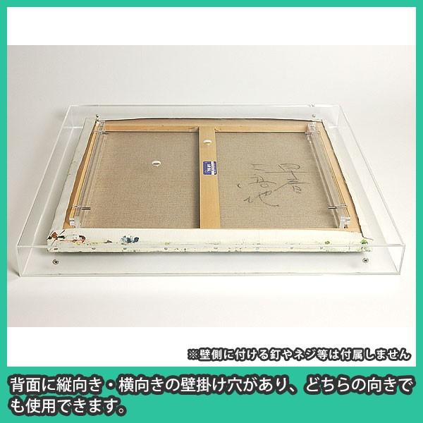 油彩キャンバス F10 額縁 壁掛け ケース ボックス 箱型 奥行 絵画 油絵