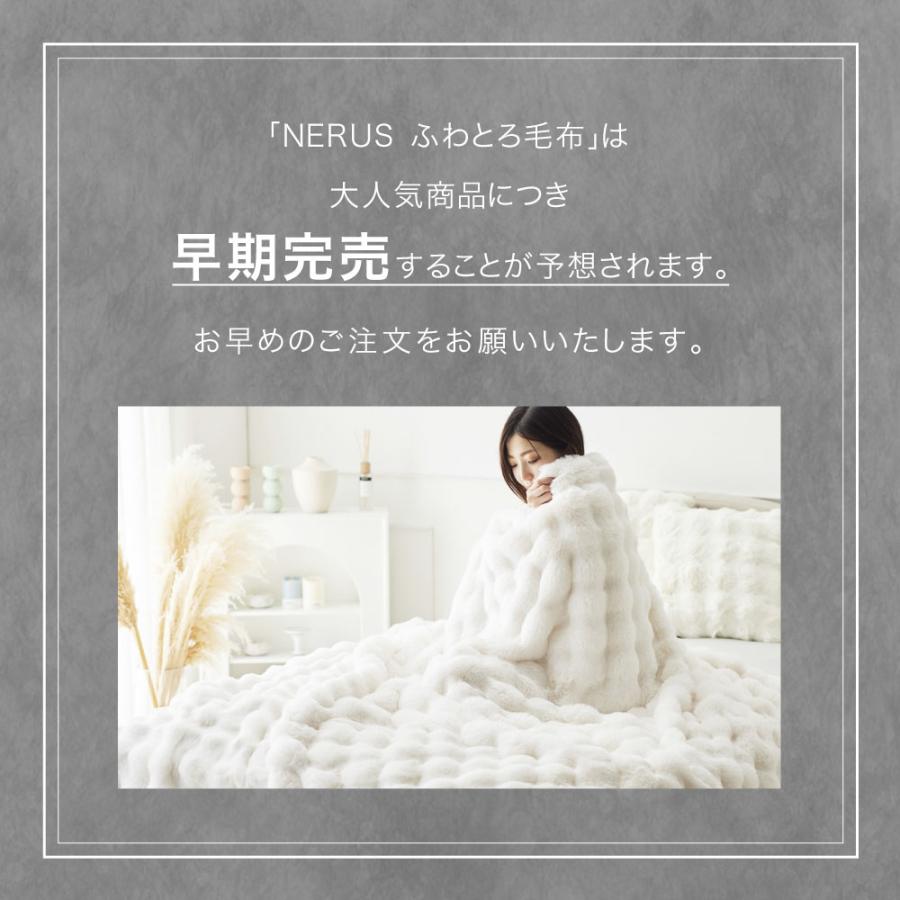 ASHEL x NERUS コラボ限定カラー【ダブル】とろ毛布 もこもこ収納袋付