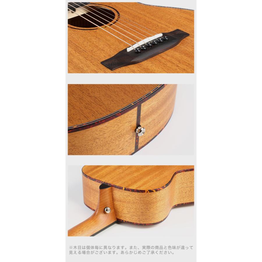 初心者定番9点セット】ELVISエルビス Master Mini 10・抱えやすい本格