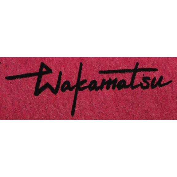 抽象画 絵画 現代アート 水彩画 若松愛子 works L-6 インテリア