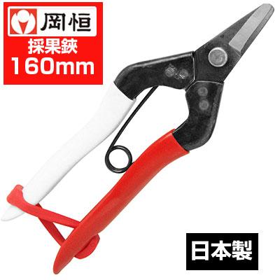 在庫あり) 岡恒/オカツネ 採果鋏 No.301（剪定 園芸 収穫 はさみ