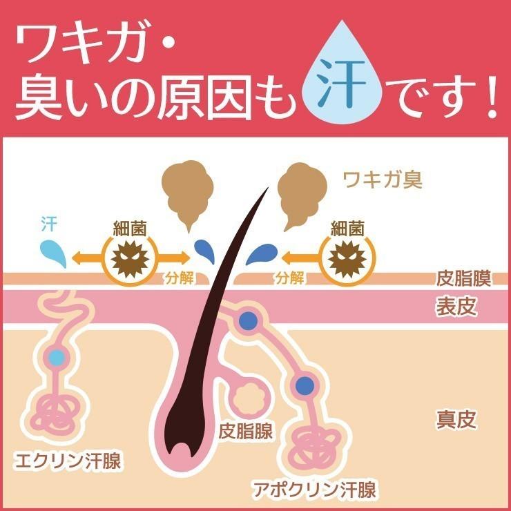 制汗剤 AHCセンシティブ 50ml 2本セット（ 脇汗 臭い ワキガ 腋臭 顔汗