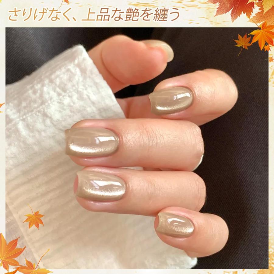マグネットネイル カラーネイルジェル 透け感 2025年冬の新色 6色