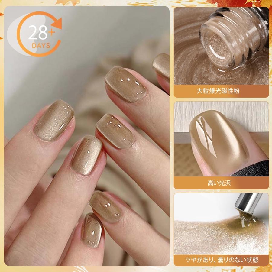 マグネットネイル カラーネイルジェル 透け感 2025年冬の新色 6色