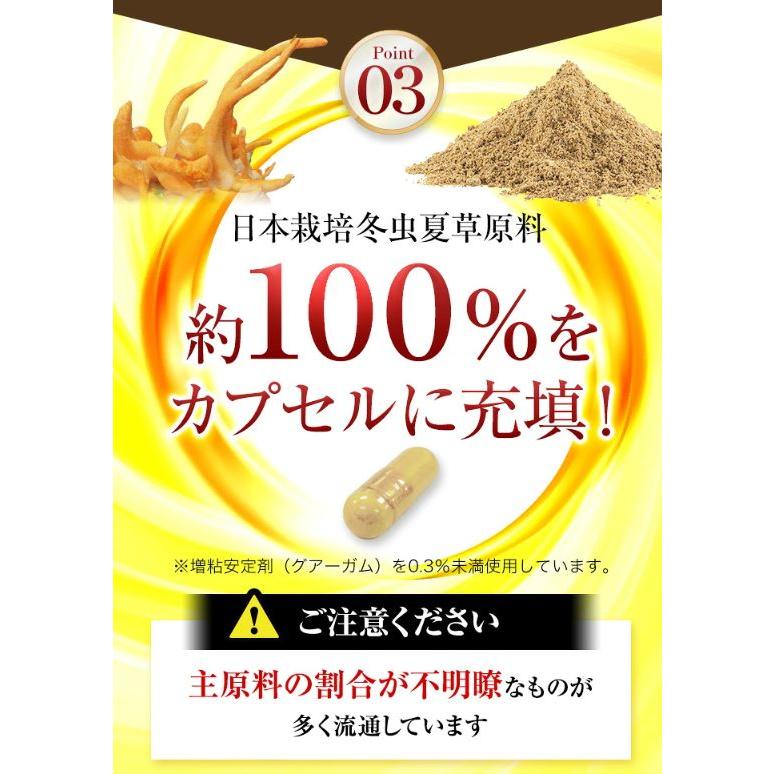冬虫夏草 サプリメント 日本産 日本産100％ サナギタケ 金の冬虫夏草