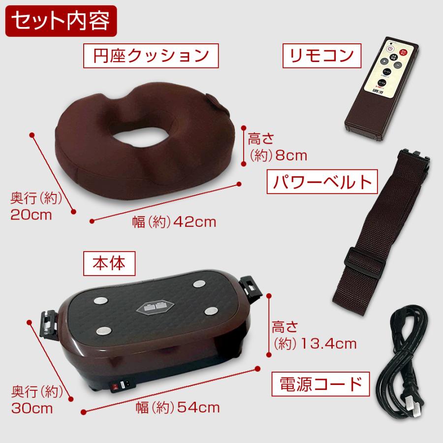 正規品】ブルブル振動マシン ライフフィット 2Wayトレーナー スマート