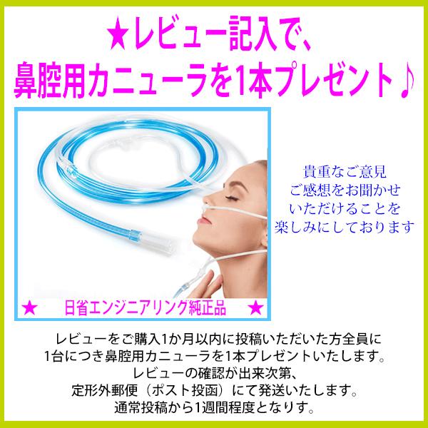 最新型 MyShinTouSui-U 水素水サーバー+水素ガス吸入セット レビュー