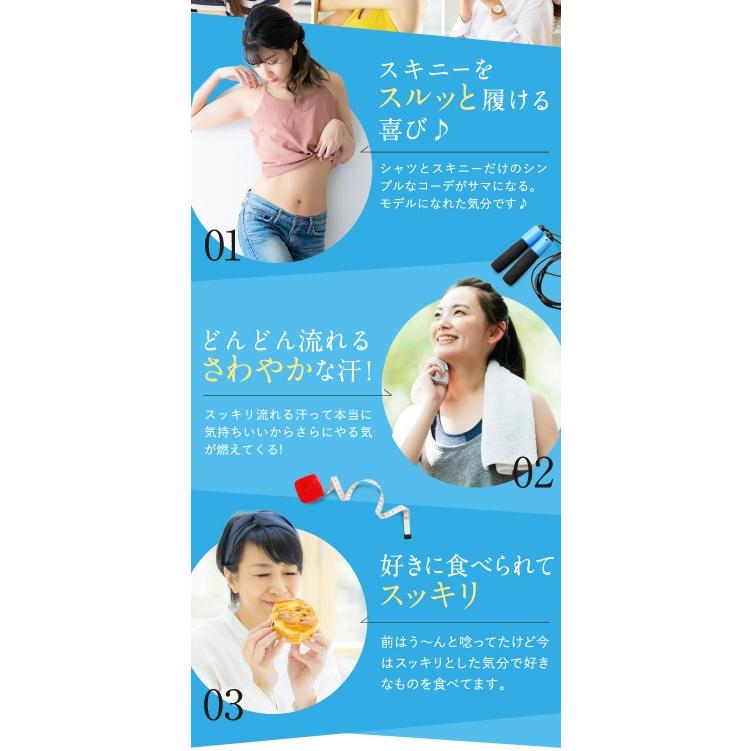 ドクタースラリ サプリメント ダイエット サプリ Dr.Surari 日本製