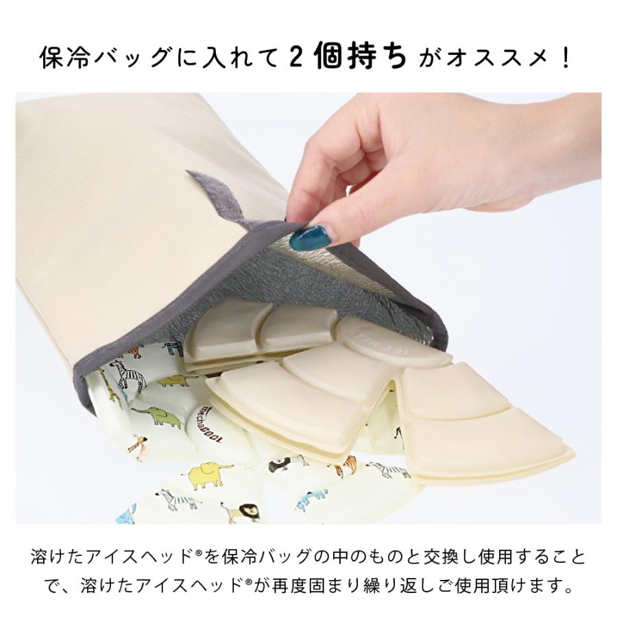 アイスヘッド 帽子用保冷剤 熱中症 暑さ対策グッズ 公式販売 (登録商標