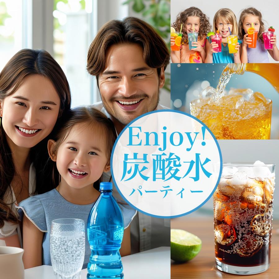 炭酸水用 ガスカートリッジ 60本セット 大容量 お酒 飲料 ツインソーダ