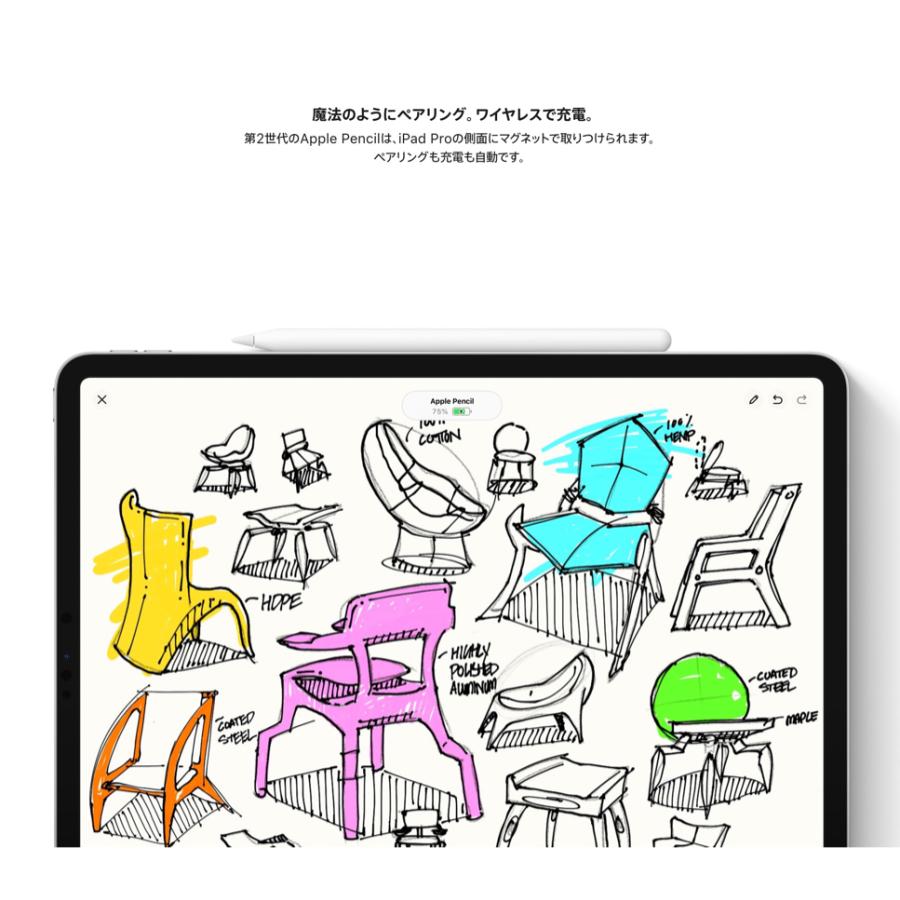 Apple Apple Pencil 第2世代 アップルペンシル 第二世代 MU8F2J/A 新品