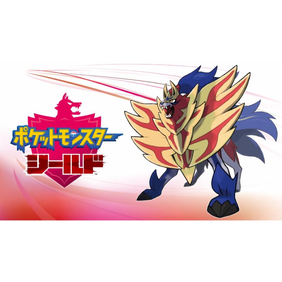 Nintendo Switch 新品 パッケージ版 Nintendo ポケットモンスター