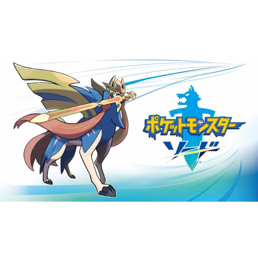 Nintendo Switch 新品 パッケージ版 Nintendo ポケットモンスター