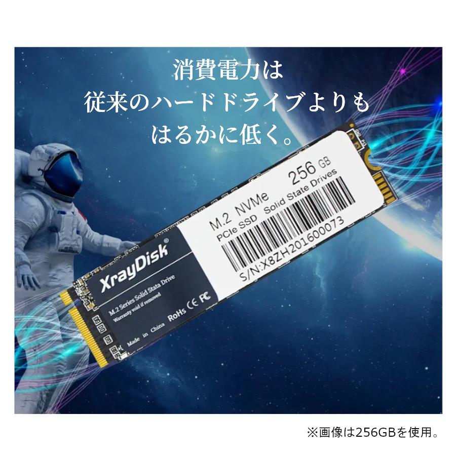 M.2 NVMe 1TB | 内蔵SSD 外付けSSD Xray Disk PCIe ノートブックPC用